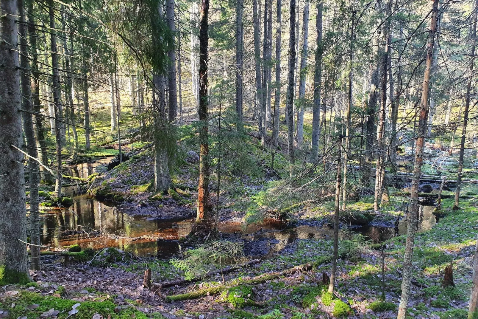 6 person holiday home in ÅSBRO-By Traum-Water view