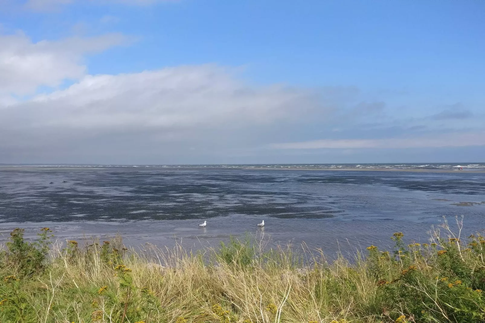 Maison de vacances pour 6 a Asaa-By Traum-Vue sur l'eau