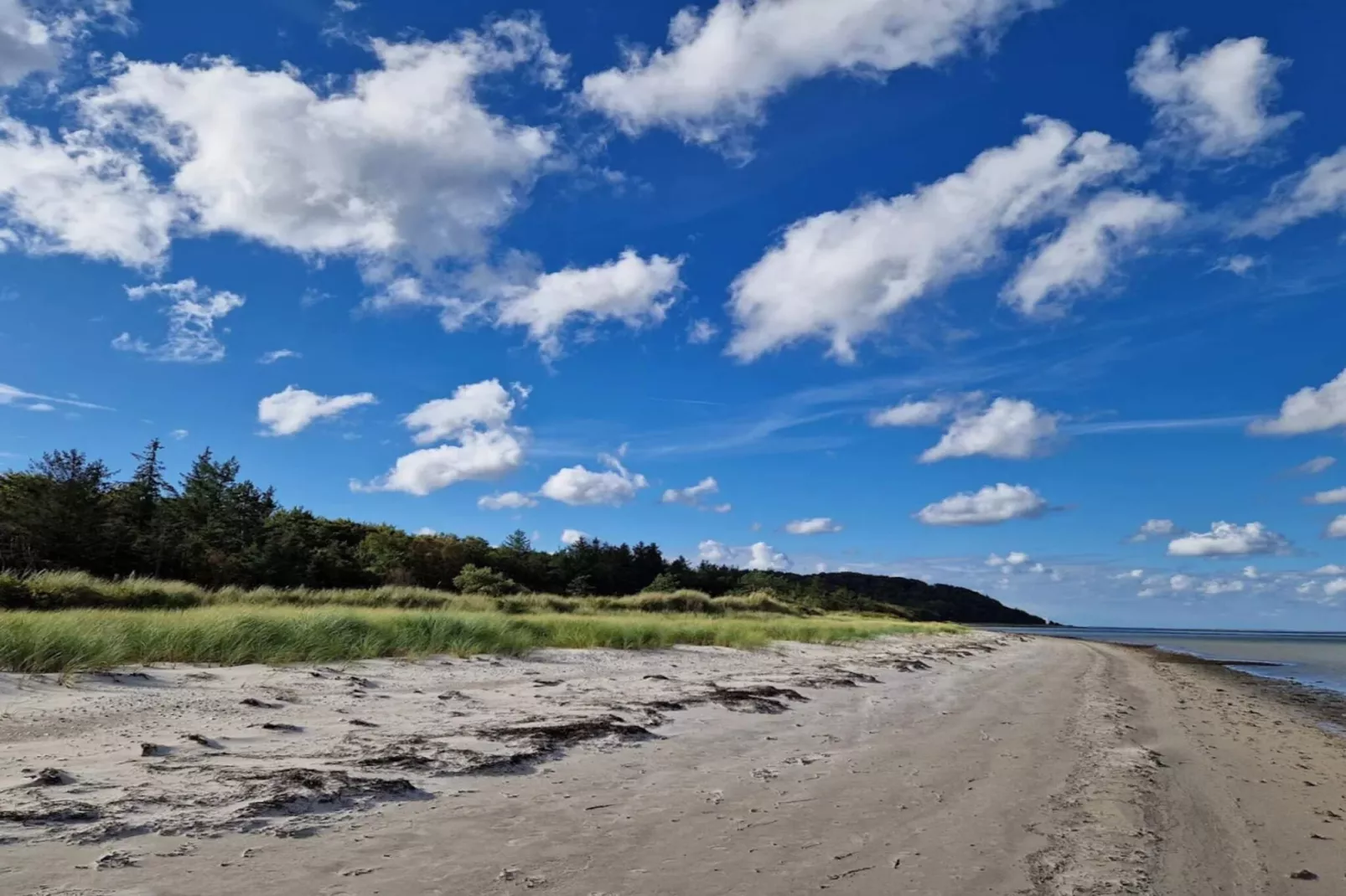 8 person holiday home in Grenaa-By Traum-Untagged