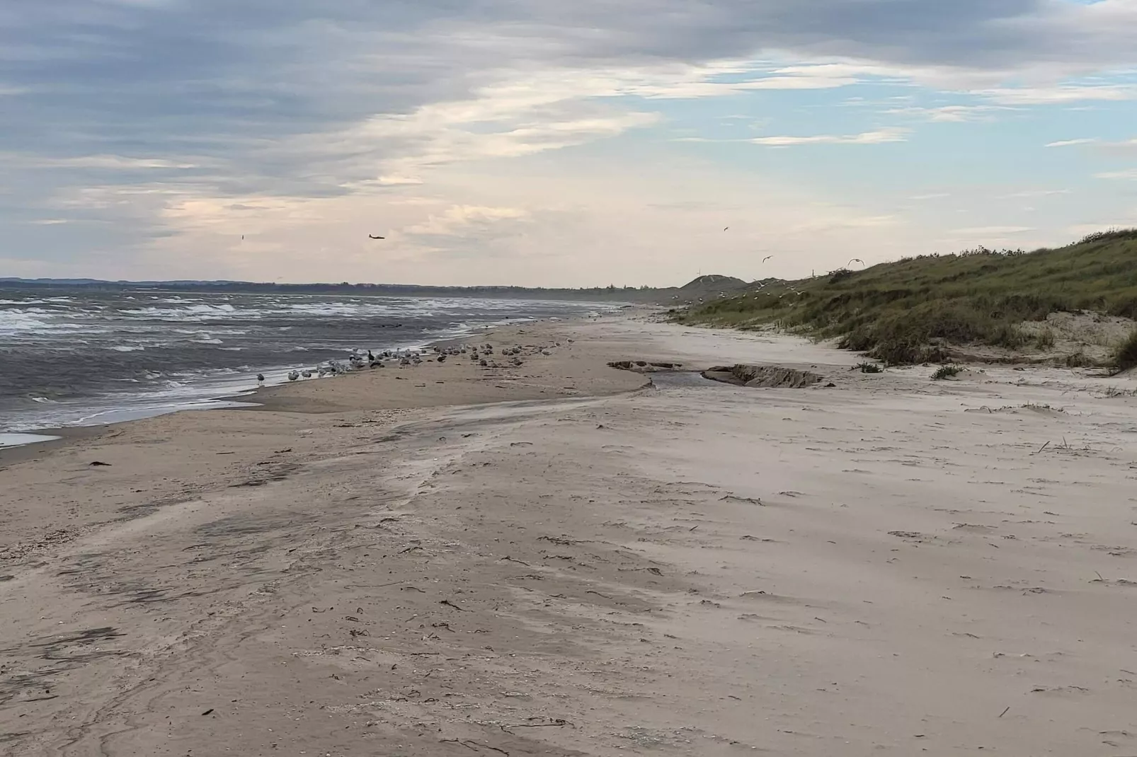 Maison de vacances pour 8 a Ålbæk-By Traum-Vue sur l'eau