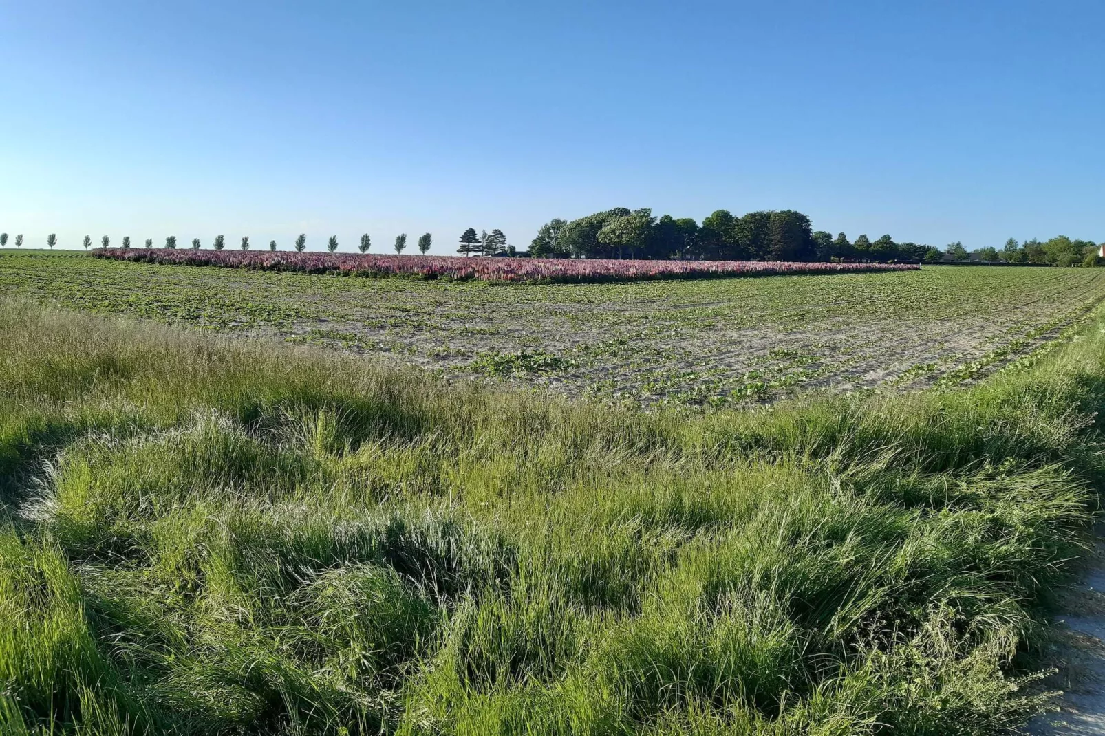 4 Personen Ferienhaus in Nakskov-By Traum-Nicht zugeordnet