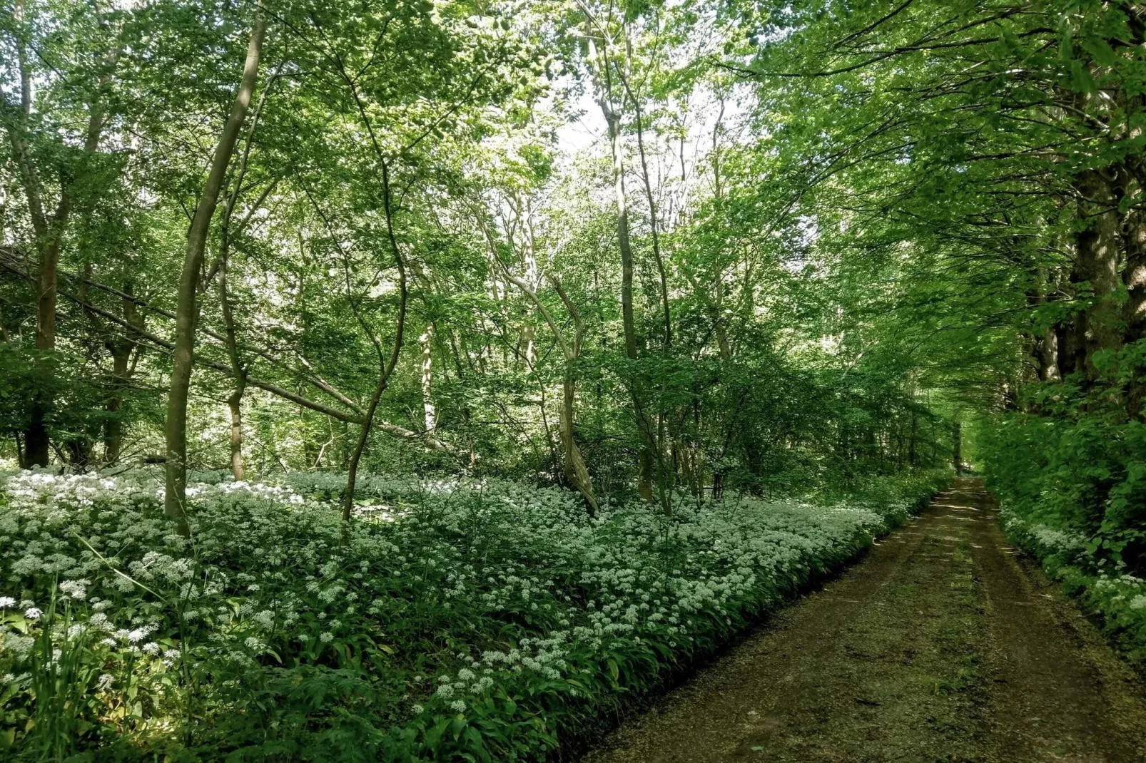 Maison de vacances pour 9 a Skibby-Non tagué