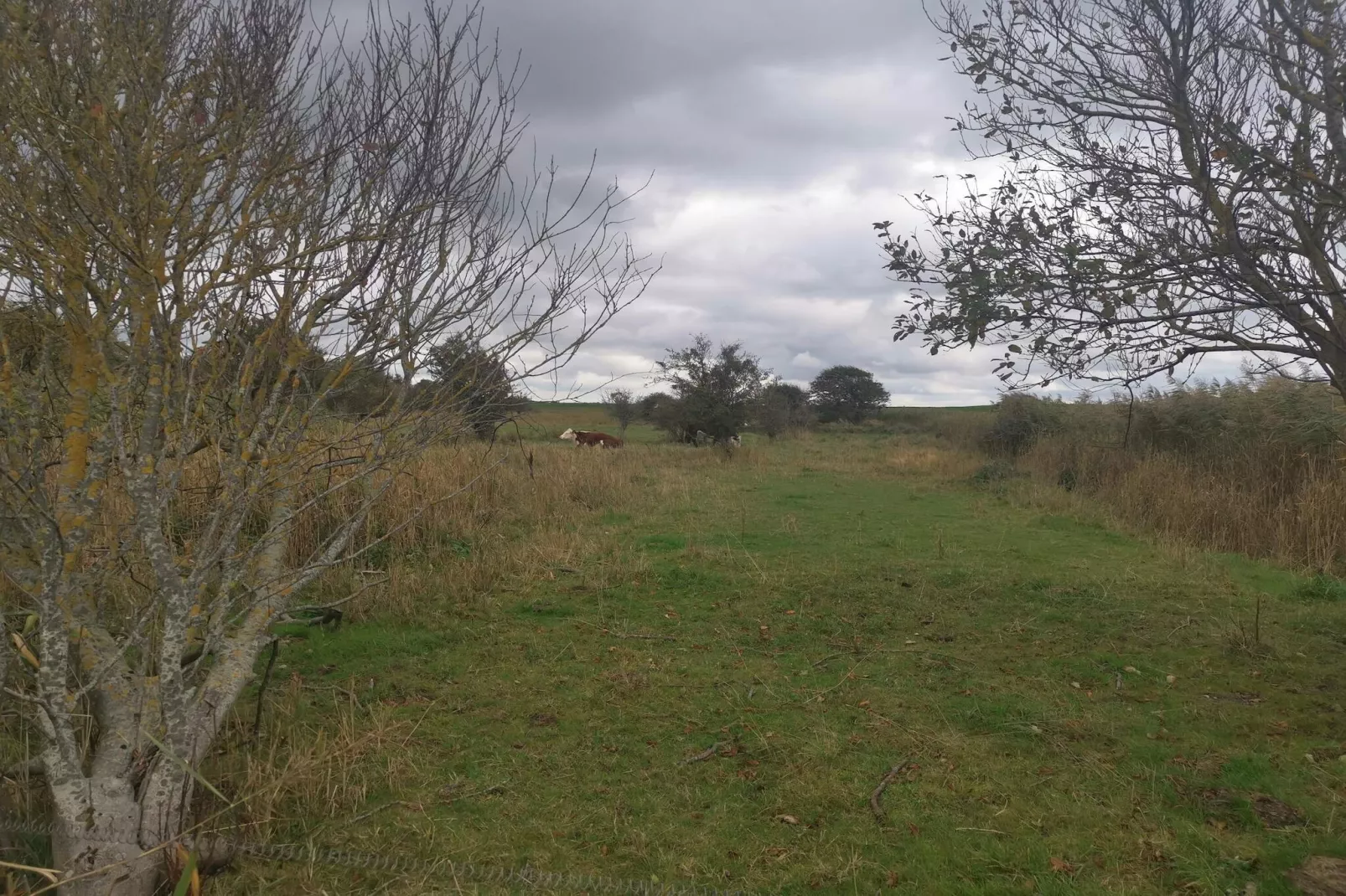 Maison de vacances pour 6 a Dannemare-By Traum-Non tagué