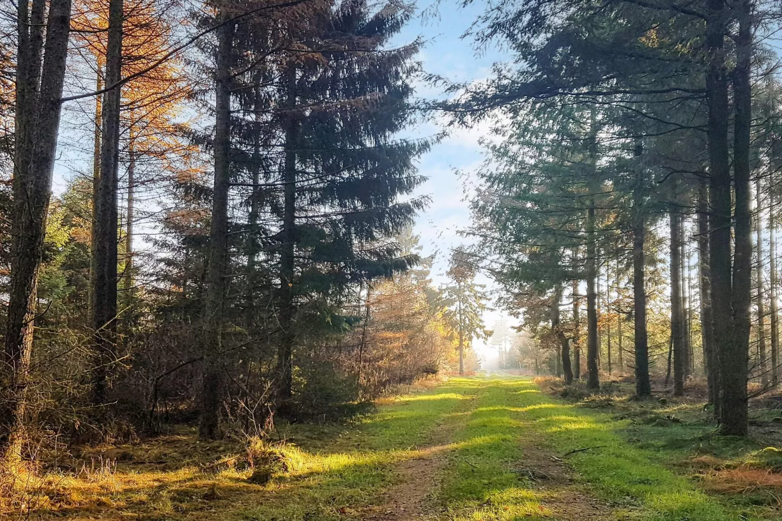 6 Personen Ferienhaus in Toftlund-By Traum-Im Freien