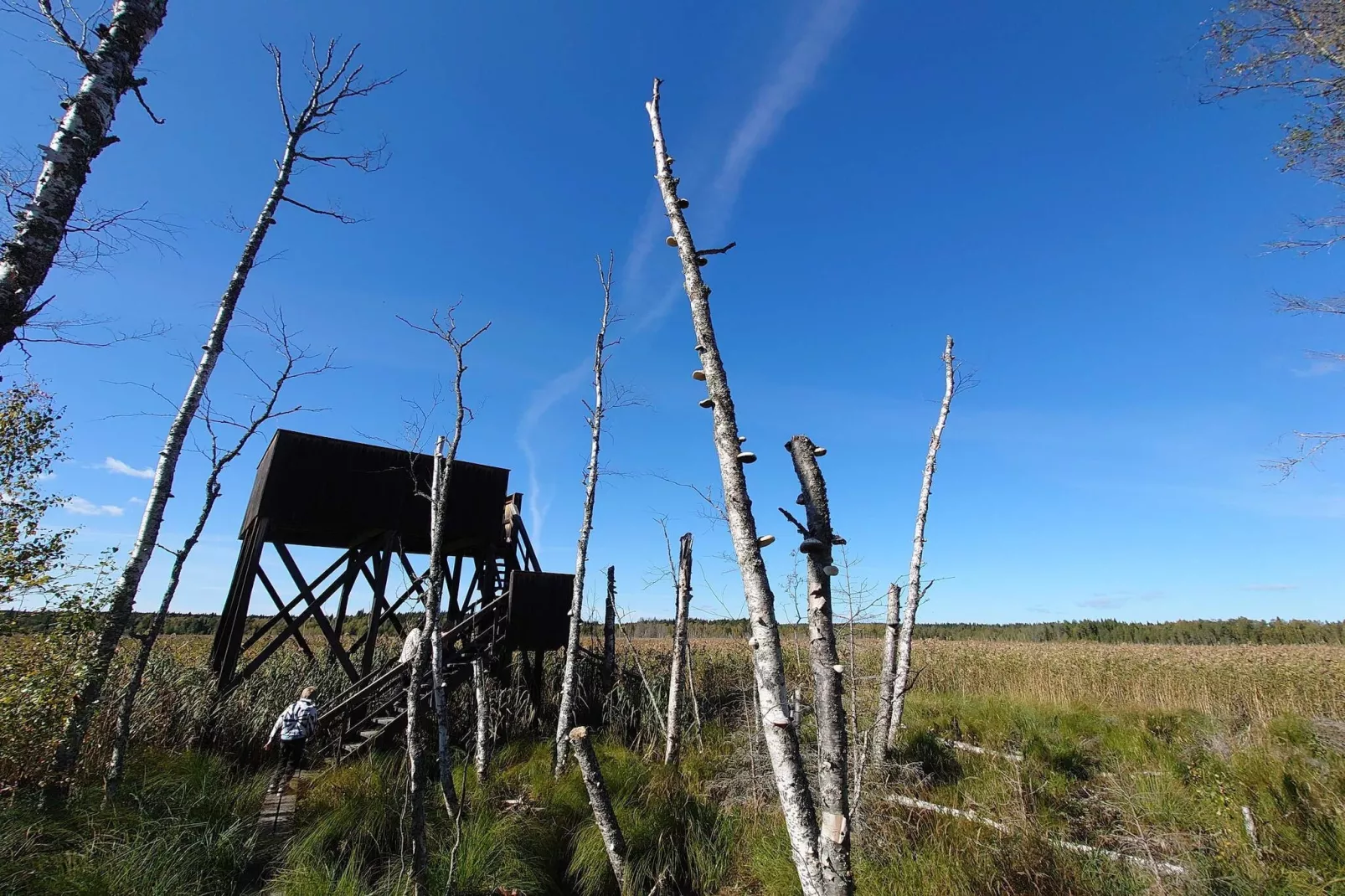 Rotes Bauernhaus in der Nähe von Forsheda-Nicht zugeordnet