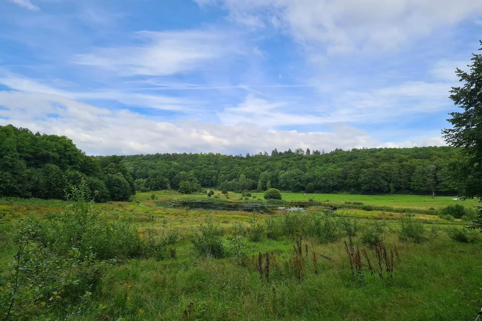 6 Personen Ferienhaus in Bindslev-By Traum-Nicht zugeordnet