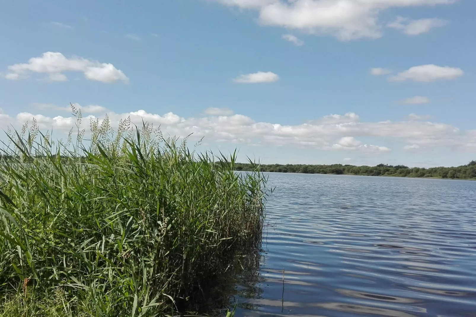 5 person holiday home in Ansager-By Traum-Water view