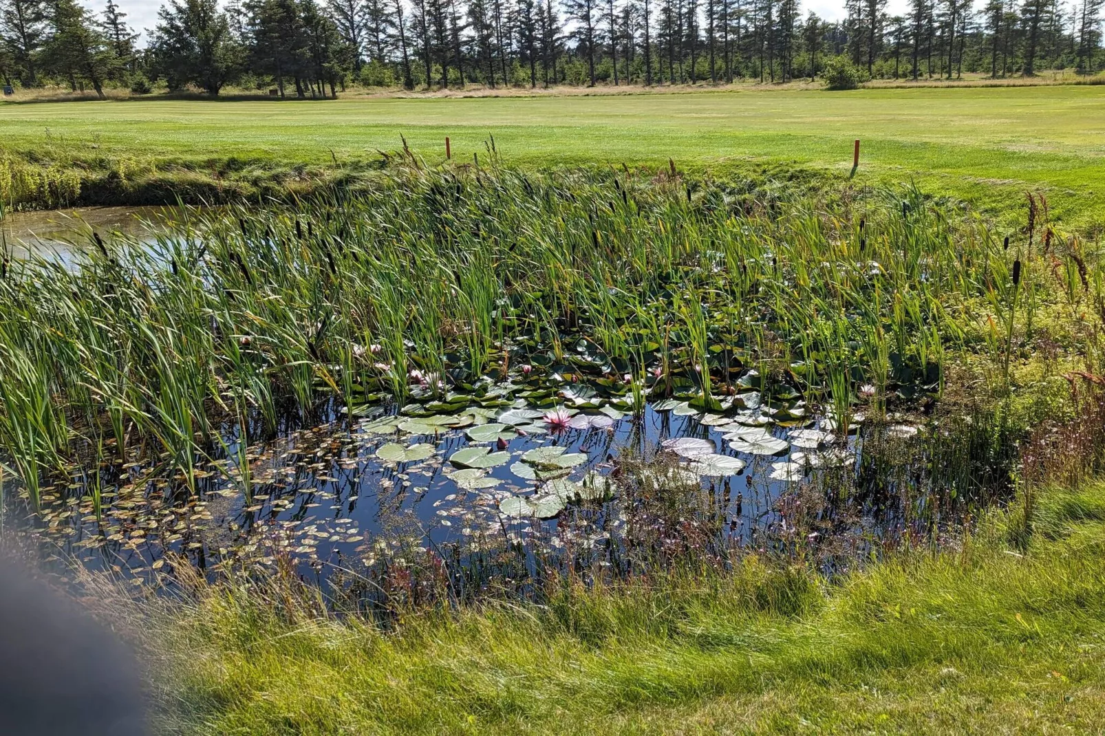 6 Personen Ferienhaus in Løkken-By Traum