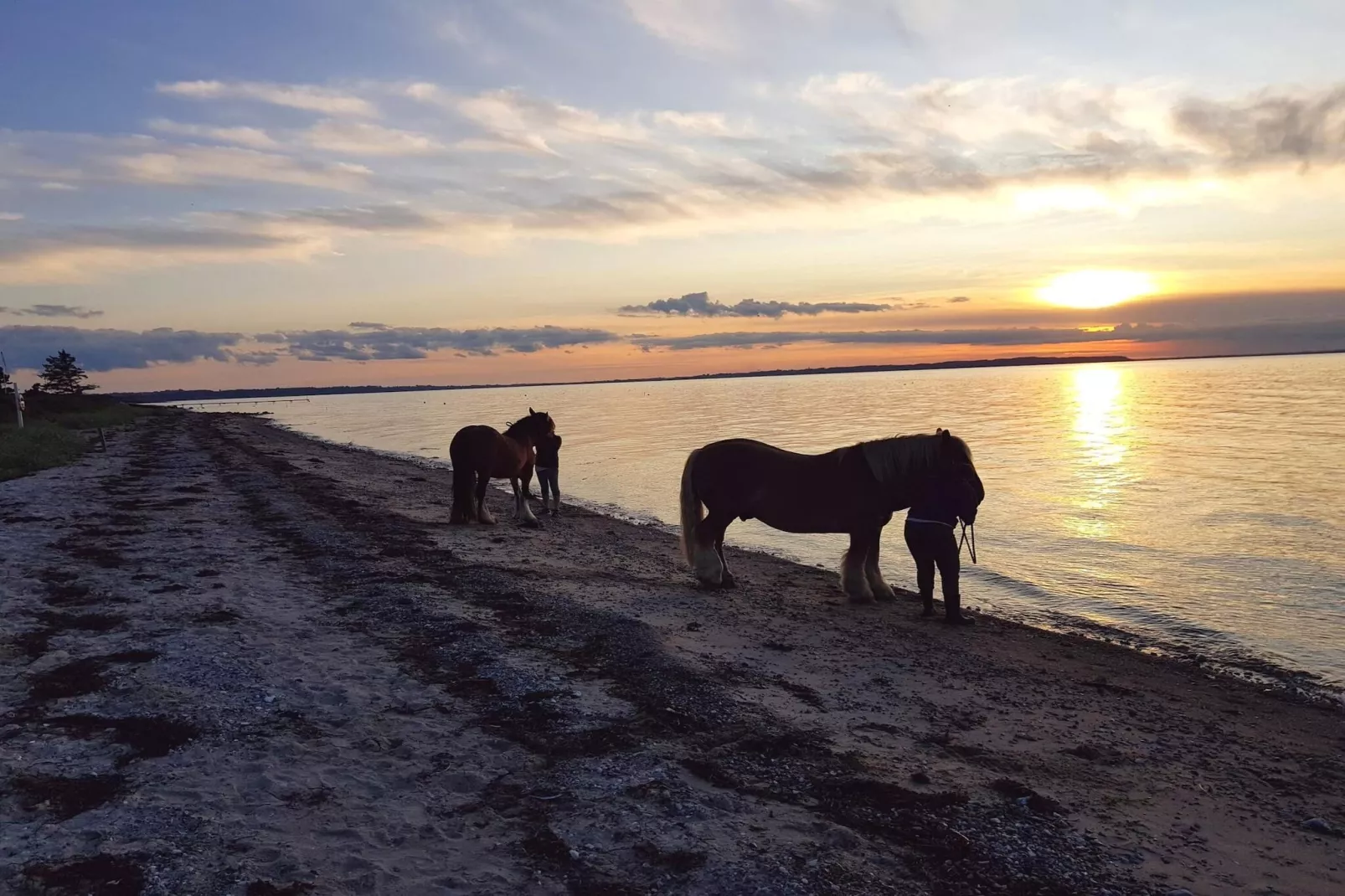 Luxury Retreat with Pool - By Traum Ferienwohnungen-Water view