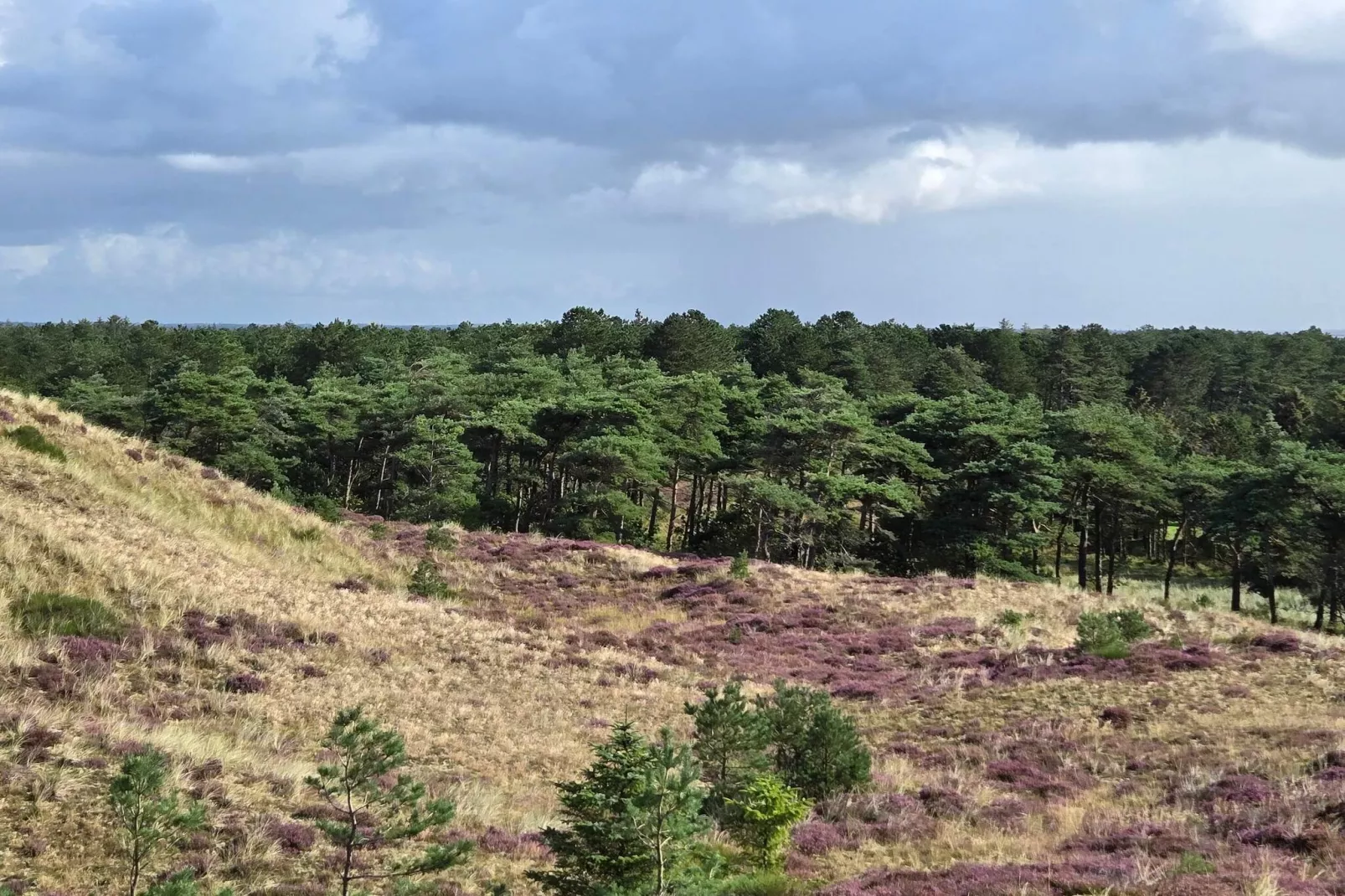 HOBO-Nicht zugeordnet