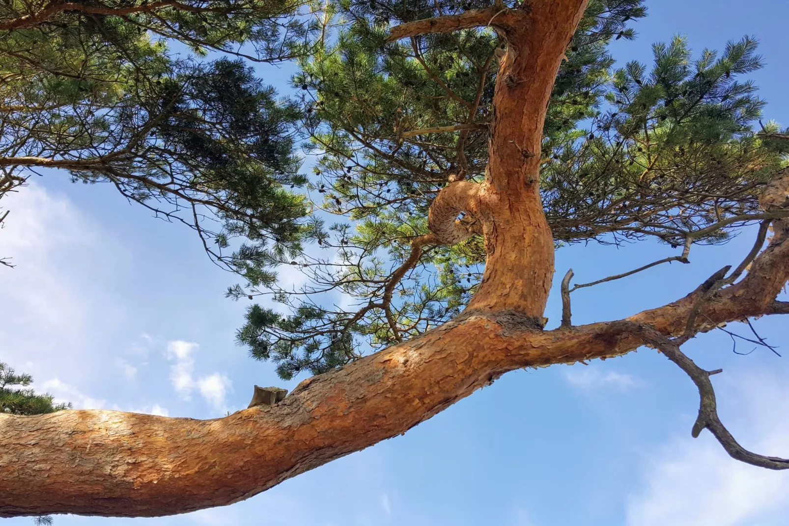 Retraite de luxe a la plage -- By Traum Ferienwohnungen-Non tagué