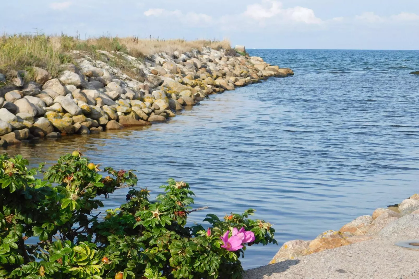 4 Personen Ferienhaus in Sæby-By Traum-Wasserblick