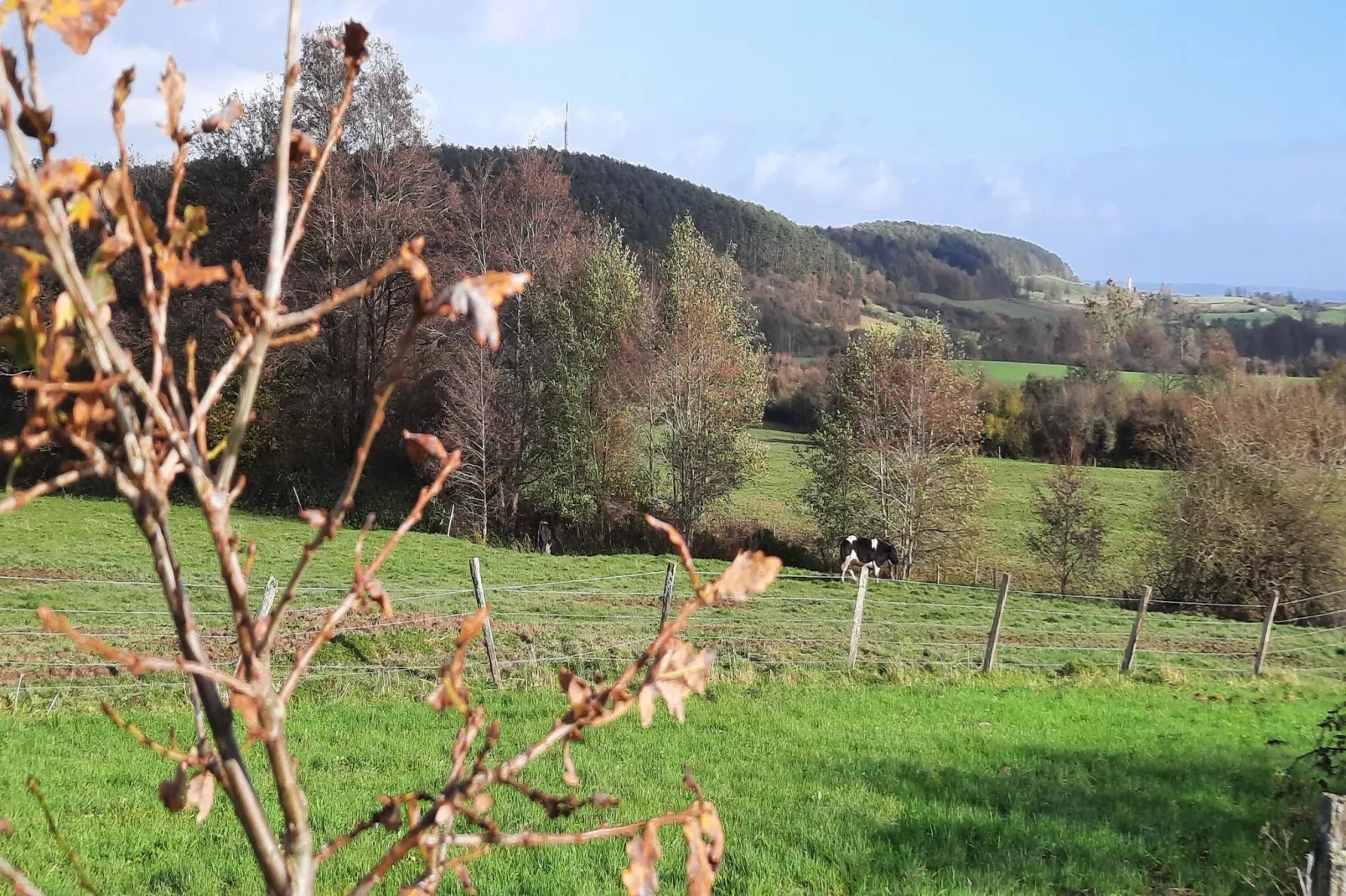 Honnay-Areas within 1km in summer