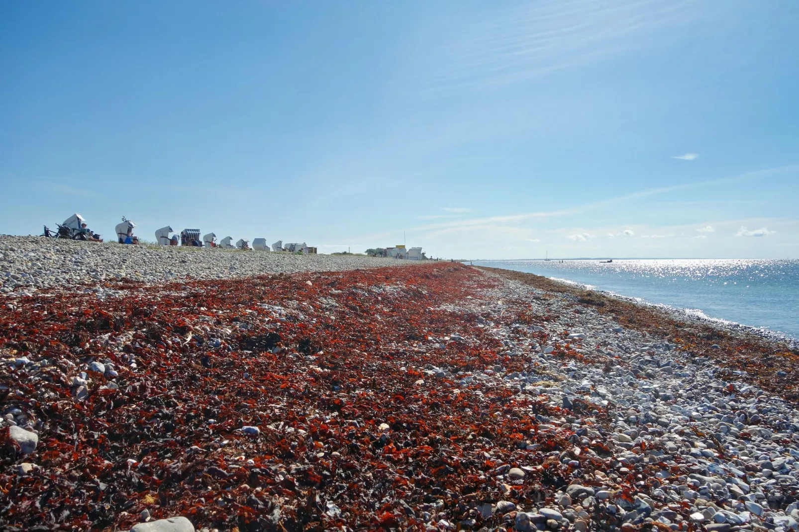 Inselresort Vasco da Gama-Areas within 5km in summer