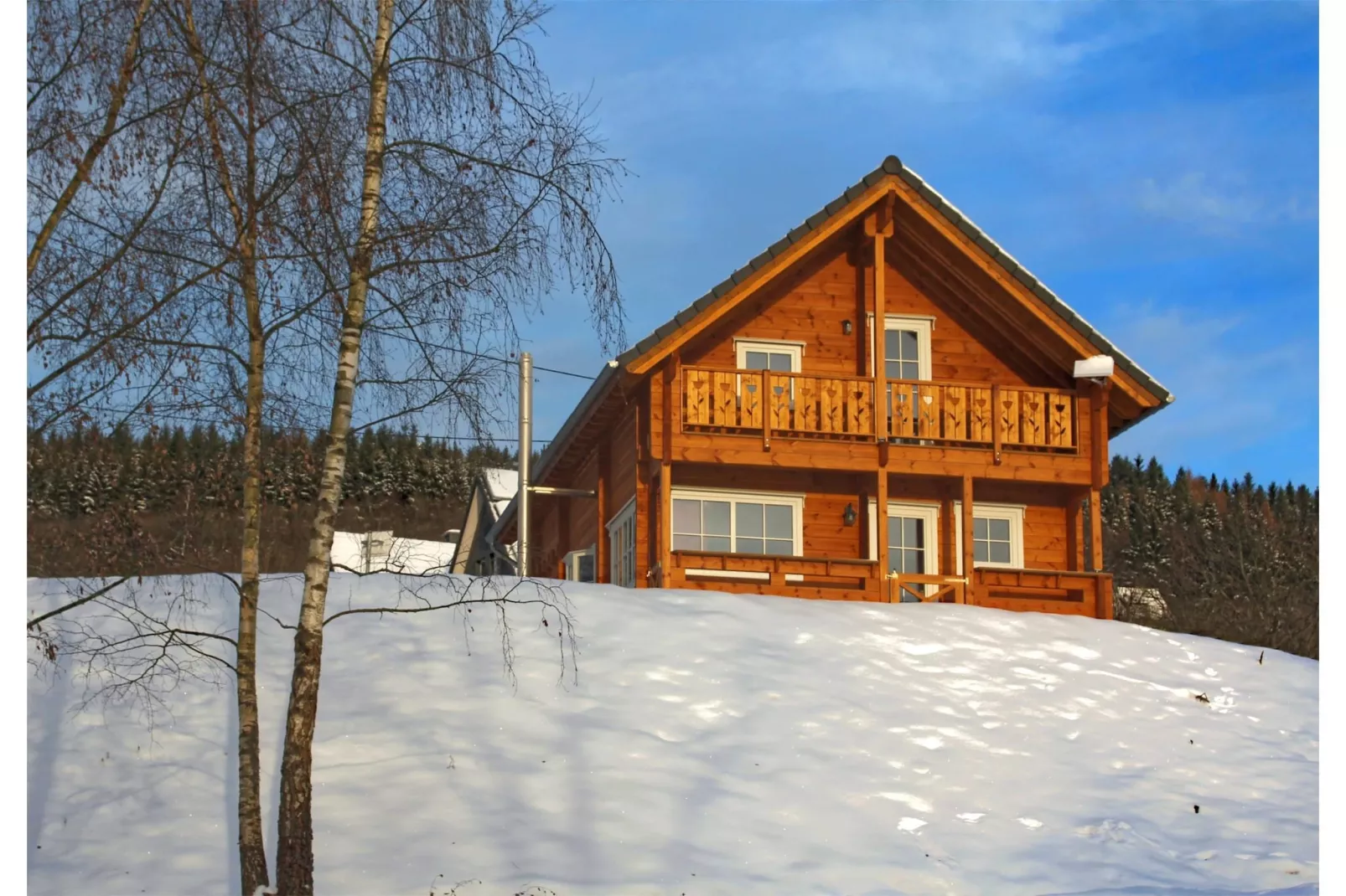 Blokhuis Winterberg Tulp-Außenbereich Winter