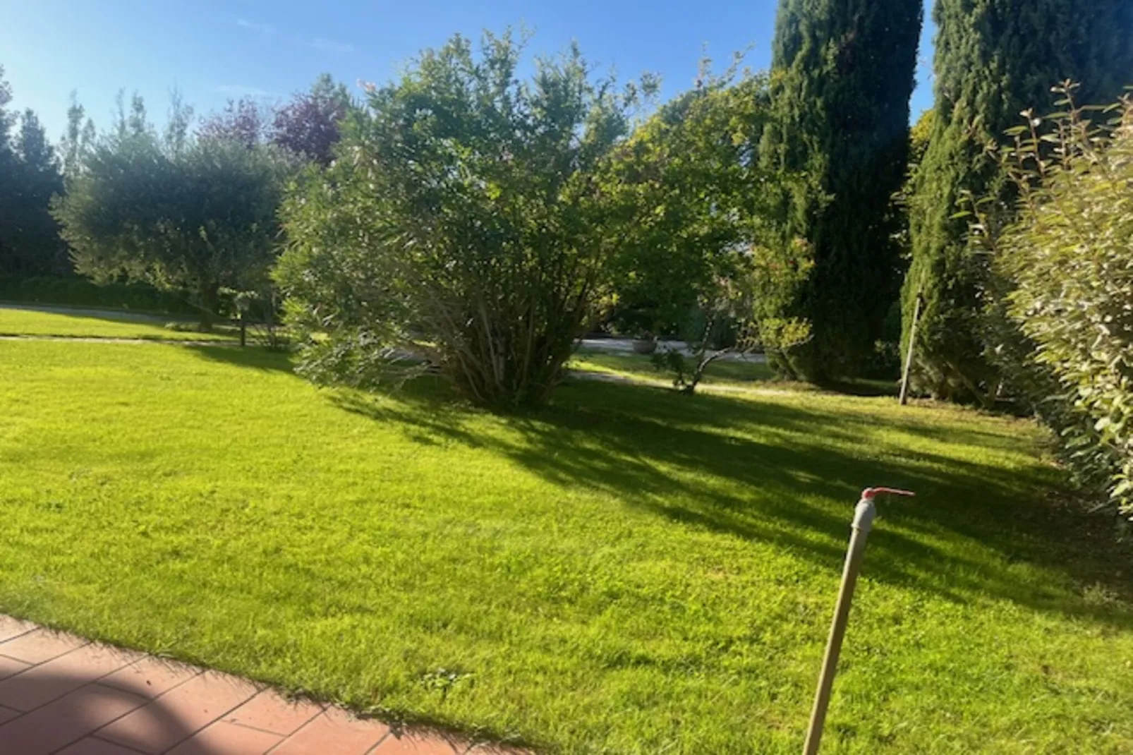 Appartamento Casale dei Girasoli-Garten Sommer