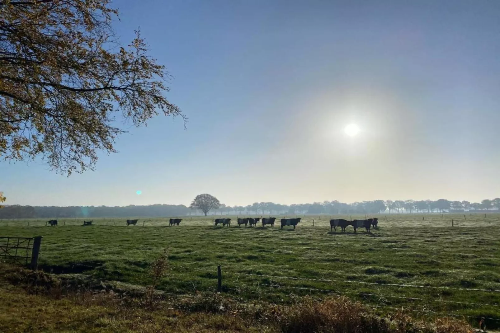 Vakantiepark De Lochemse Berg 2-Areas within 20km in summer