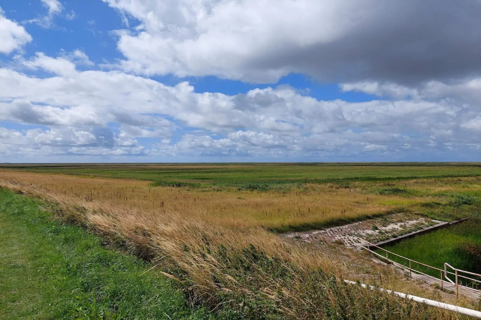 6 Personen Ferienhaus in Højer-By Traum-Nicht zugeordnet