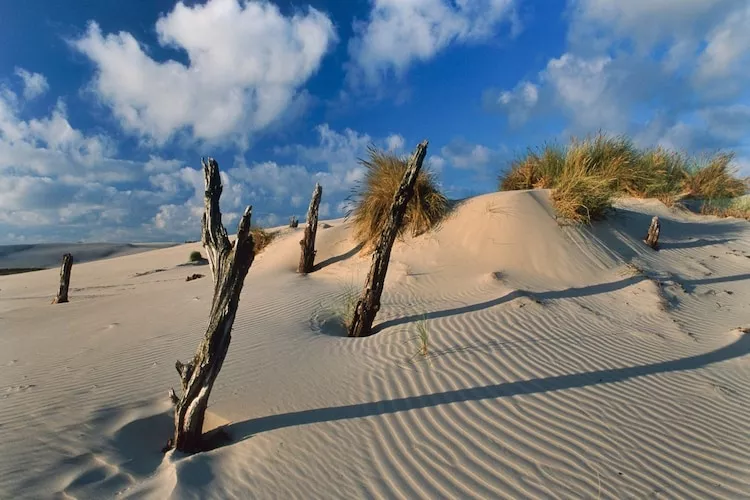 Dom wakacyjny Seahorse w Rowach-Areas within 20km in summer