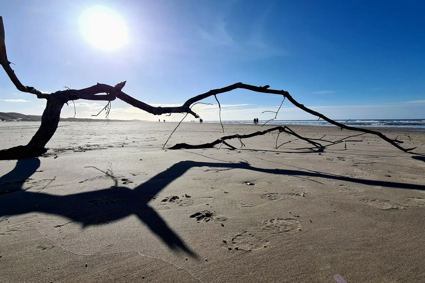 6 person holiday home in Saltum-By Traum-Untagged