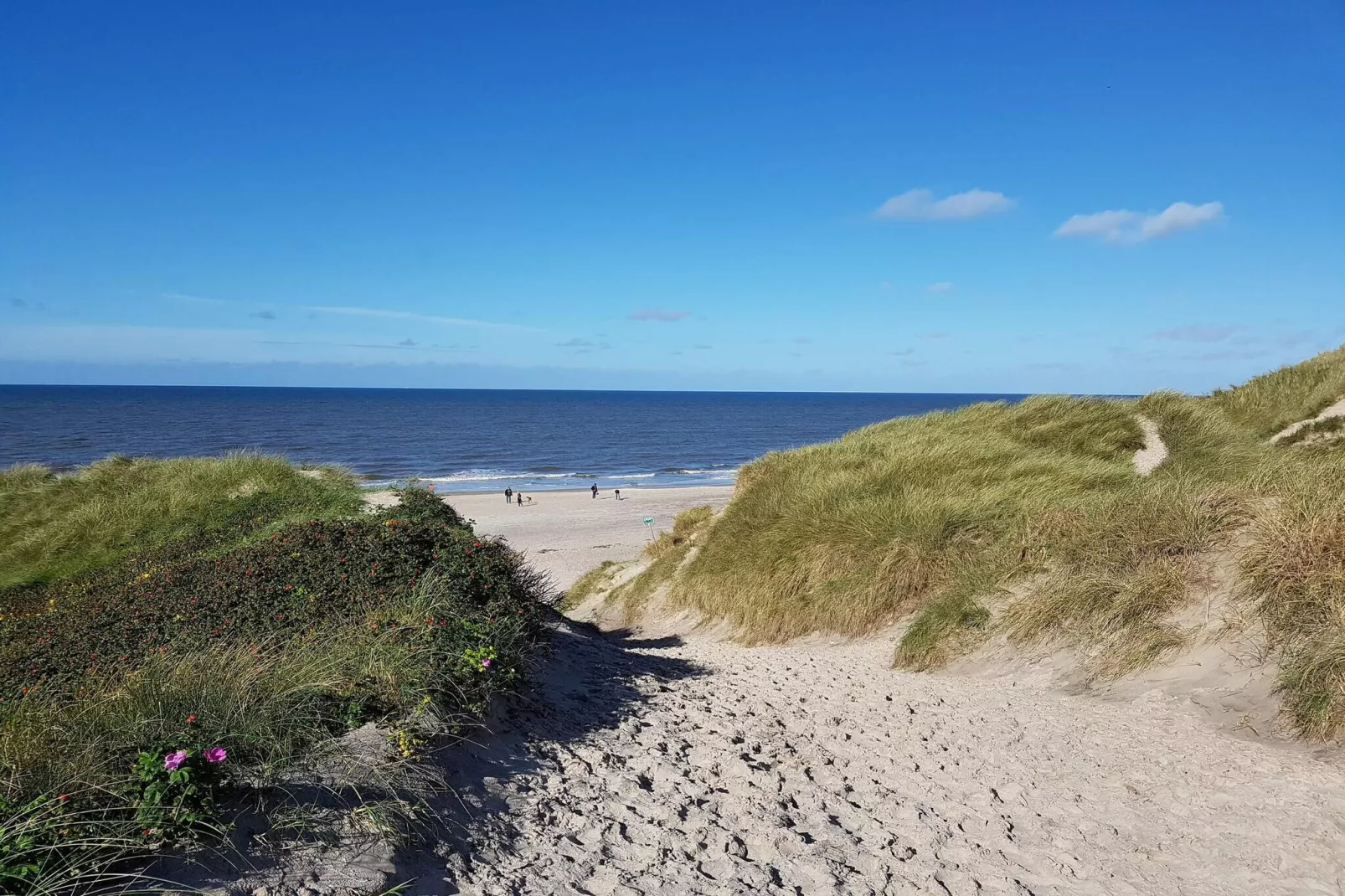 Maison de vacances pour 7 a Hvide Sande-By Traum-Vue sur l'eau