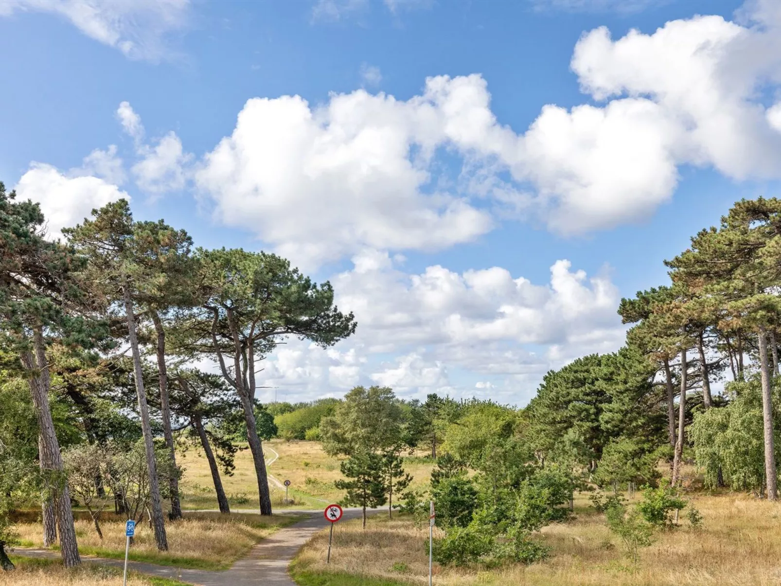 "Detlef" - 200m from the sea-Draußen