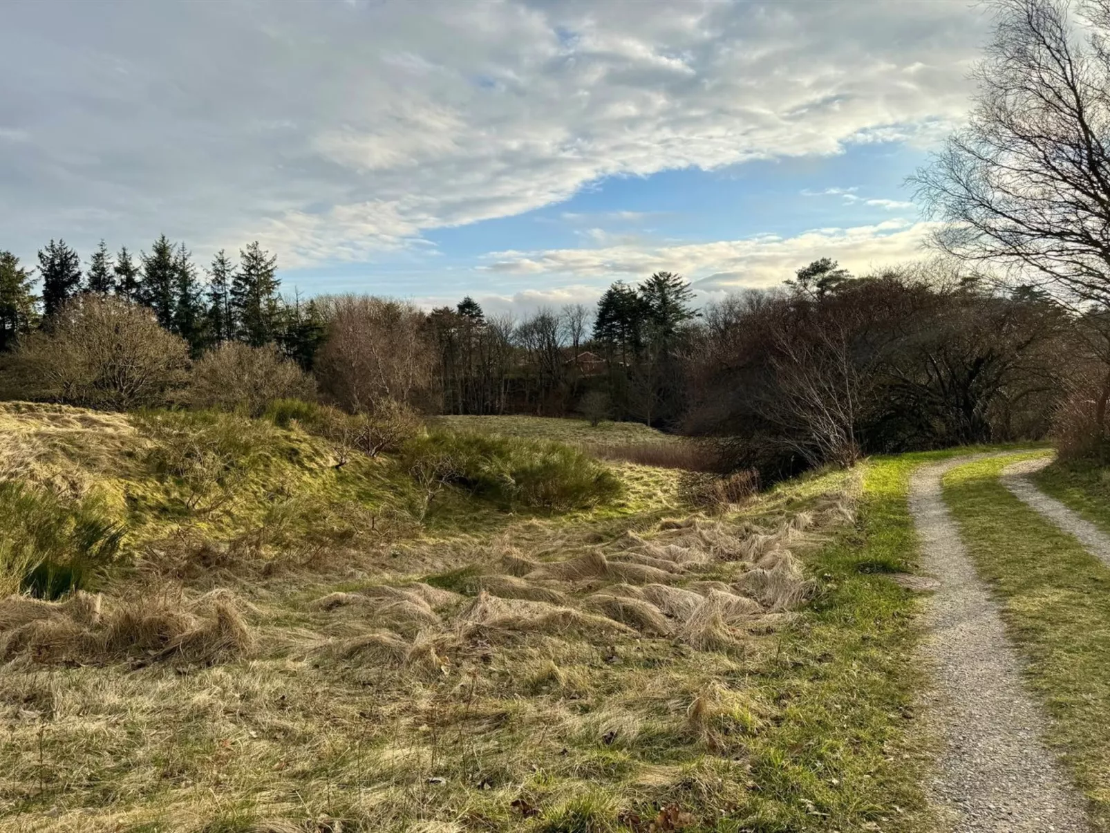 "Skammel" - 900m from the sea-Outside