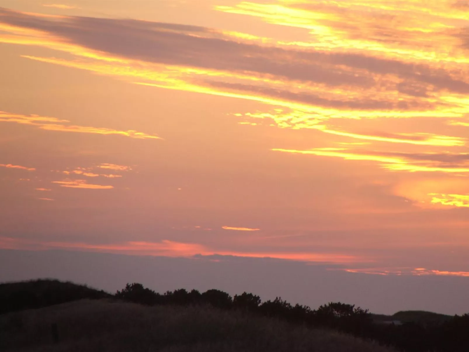 "Dorothea" - 450m to the fjord-Draußen