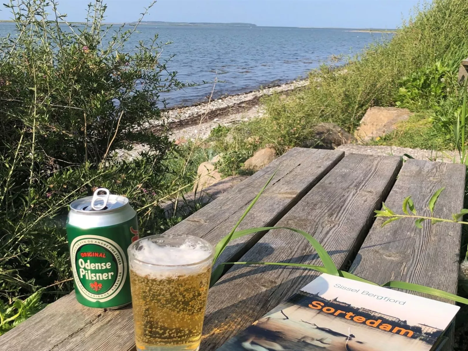 "Reinmoth" - 100m from the sea-Outside