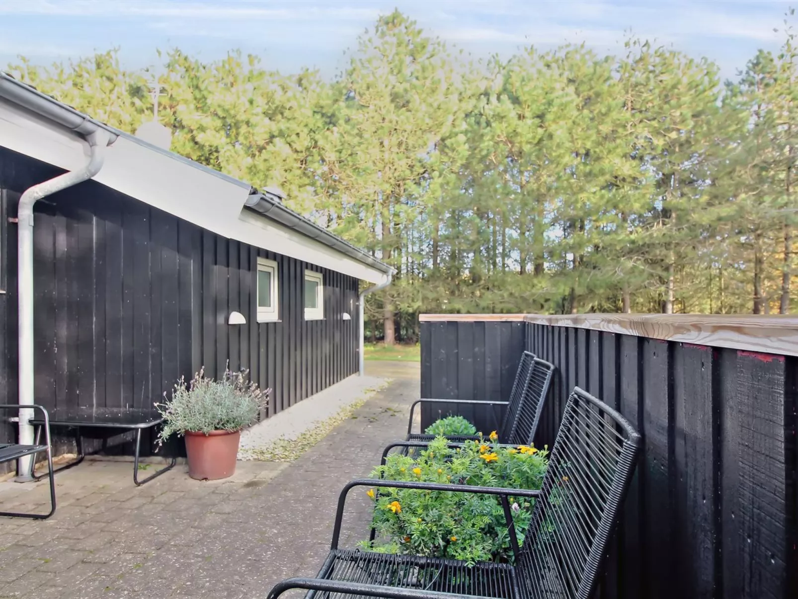 "Nahele" - 500m from the sea-Dehors