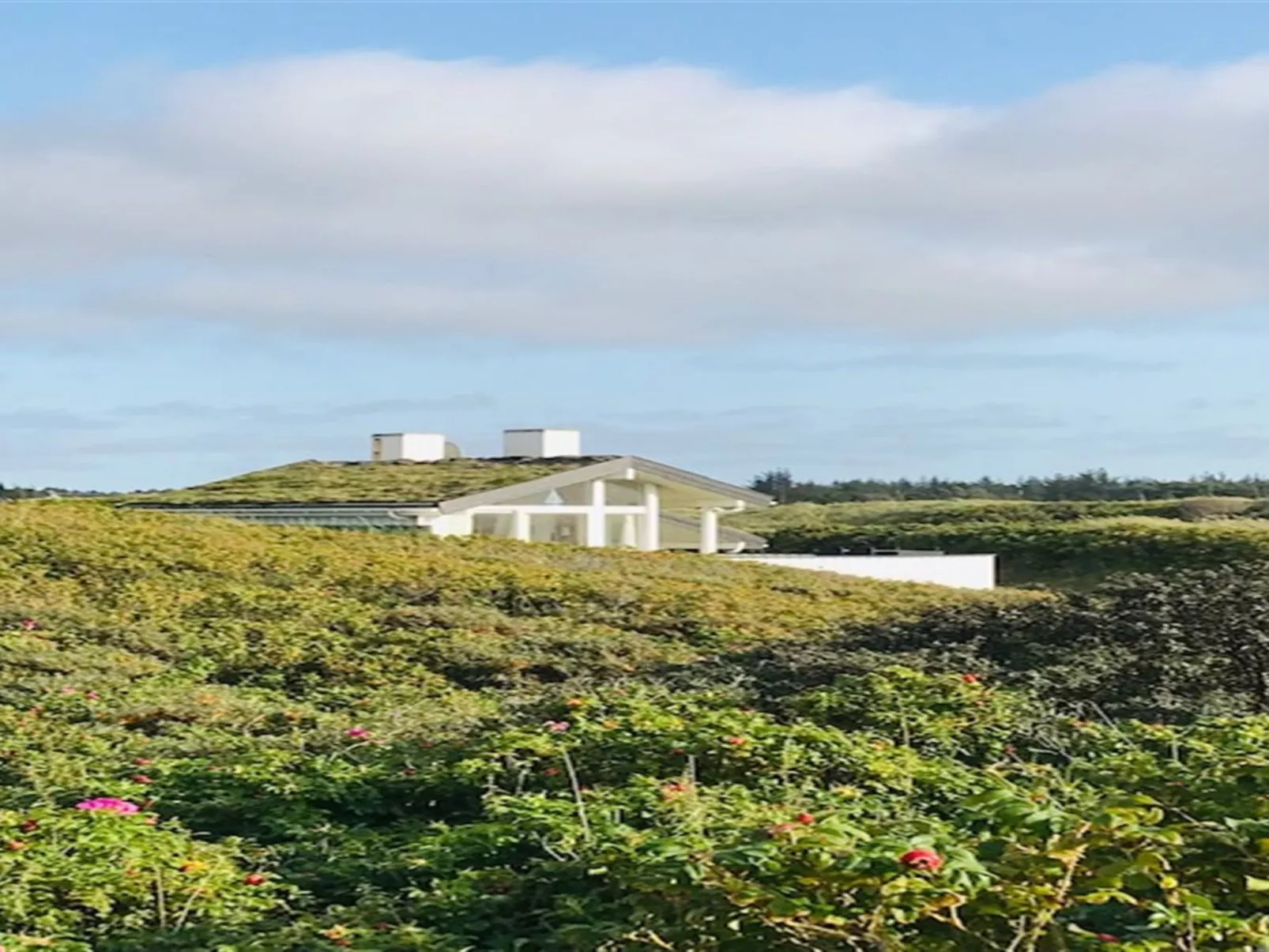 "Rutha" - 45m from the sea-Draußen