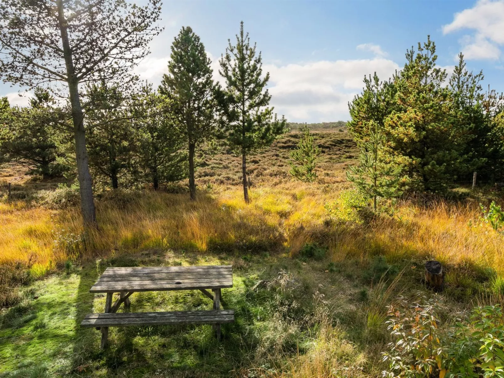 "Ilona" - 2km from the sea-Draußen