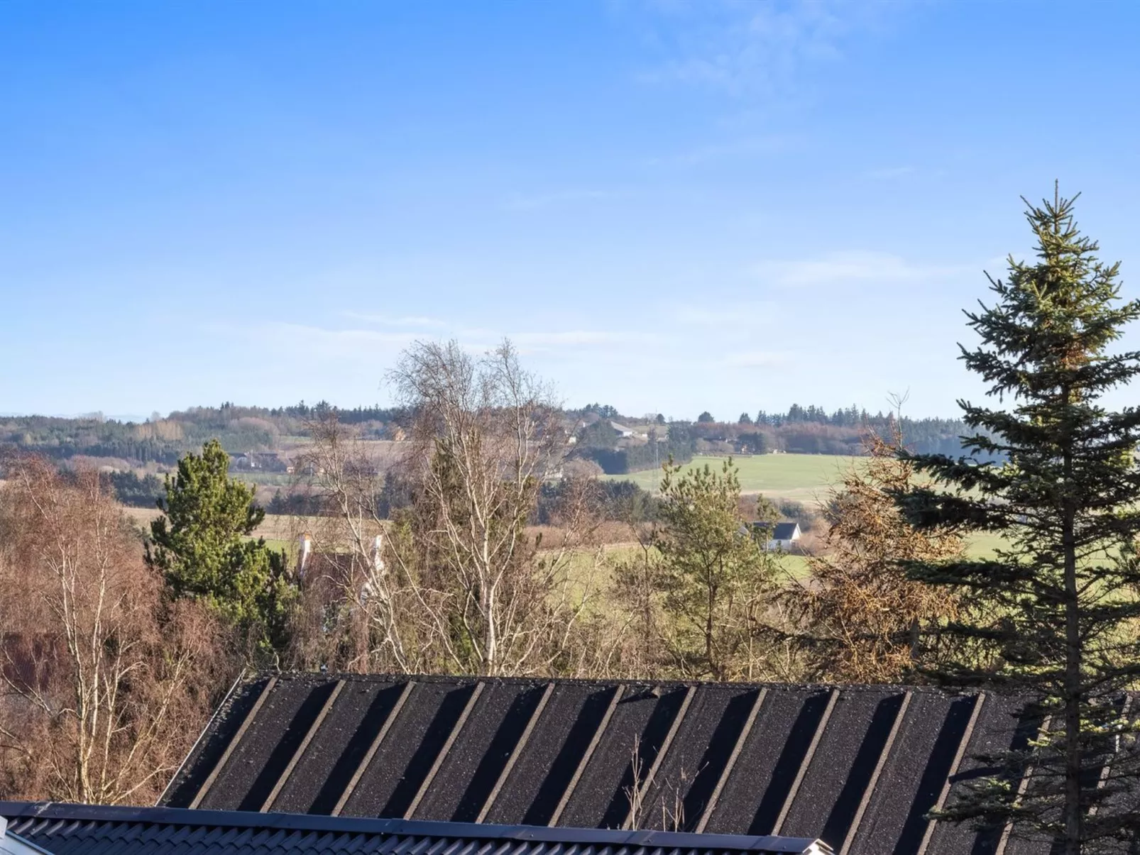 "Jaakob" - 4km from the sea-Draußen