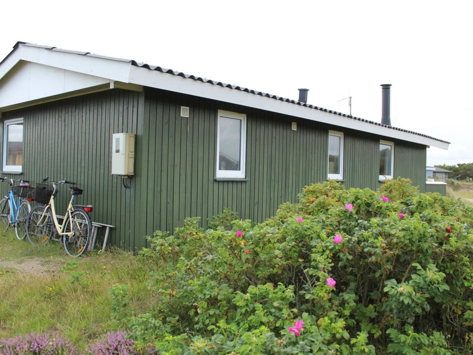 "Lambe" -  from the sea-Dehors