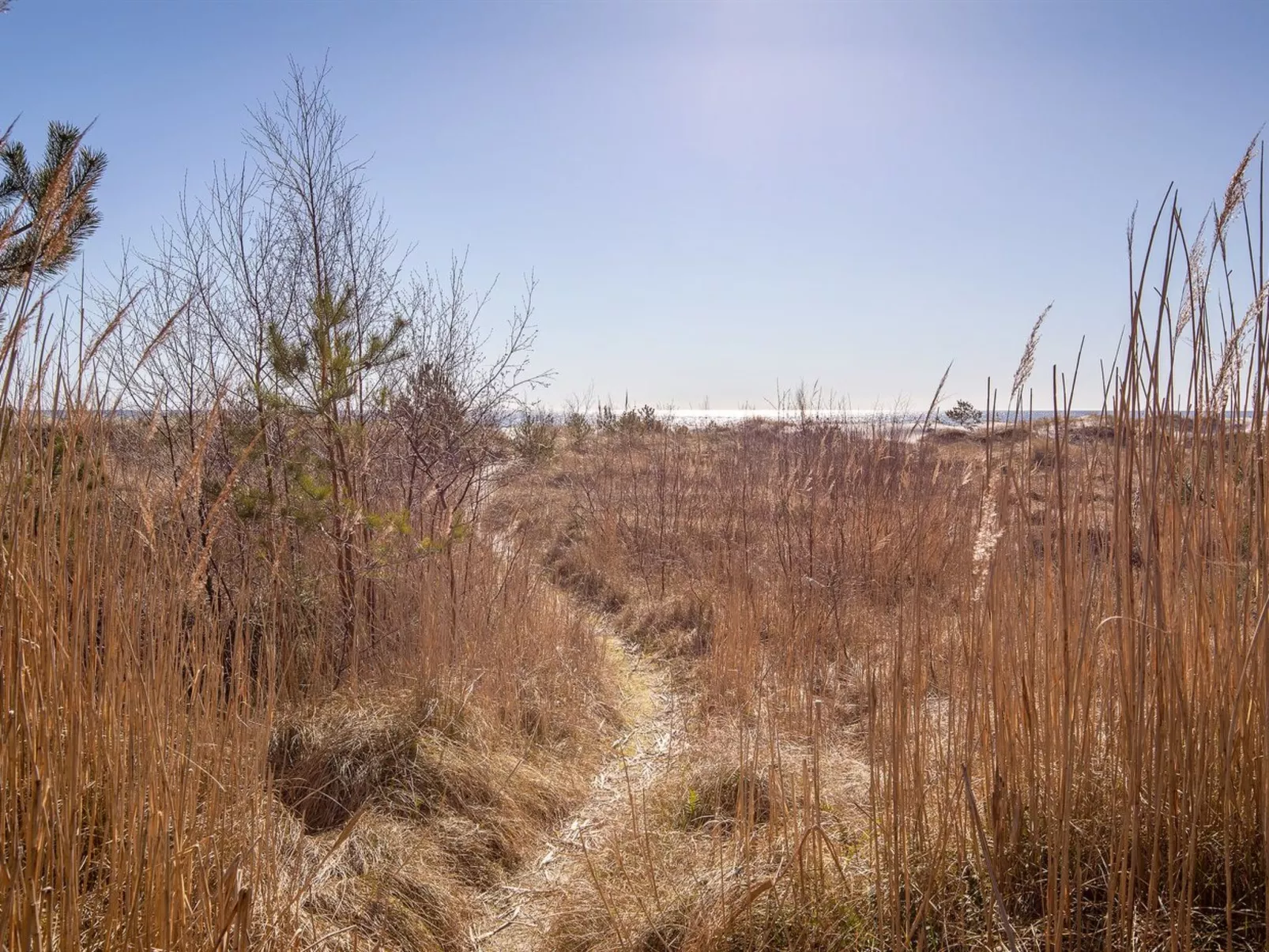 "Unto" - 25m from the sea-Draußen