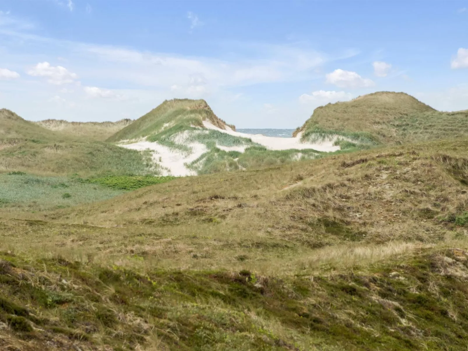 "Trugot" - 450m to the fjord-Outside