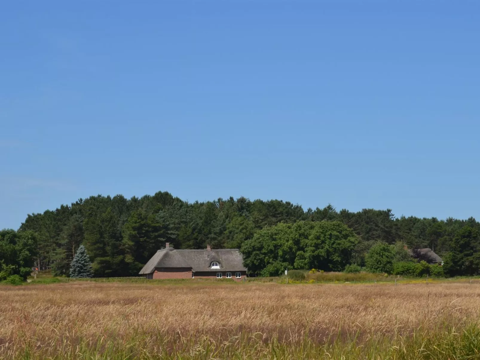 "Naili" - 3.1km from the sea-Inside