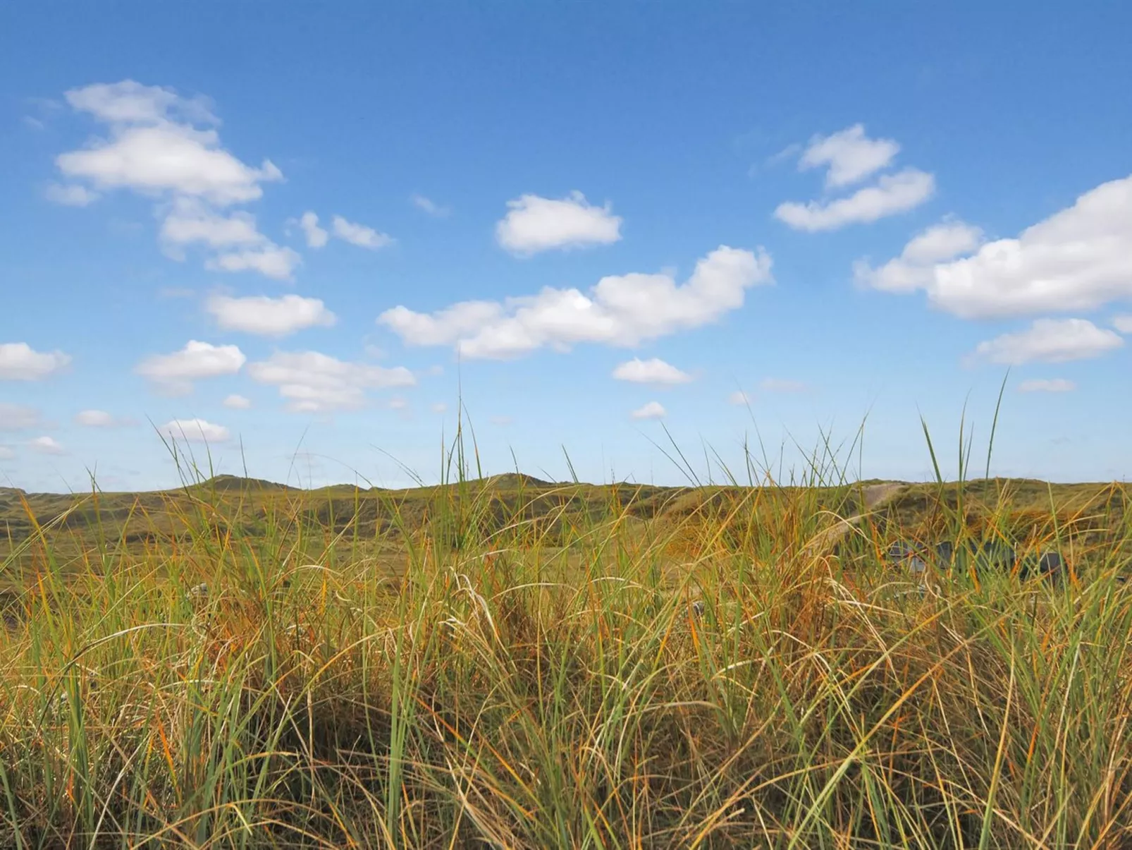 "Katha" -  from the sea-Outside