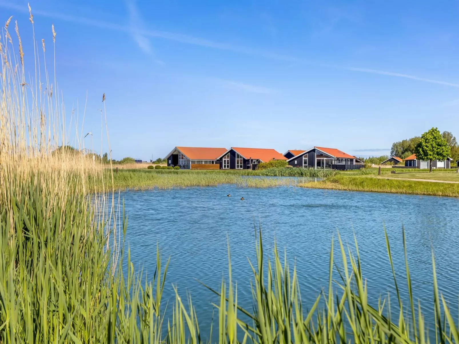 "Zişan" - 1.1km from the sea-Outside