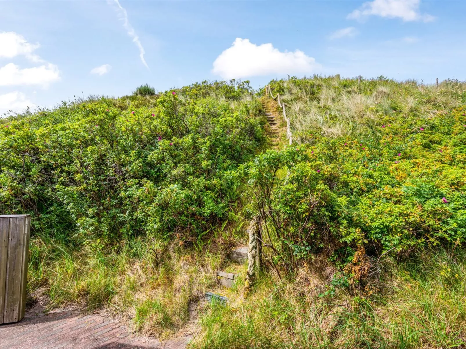 "Pia" - 400m from the sea-Outside