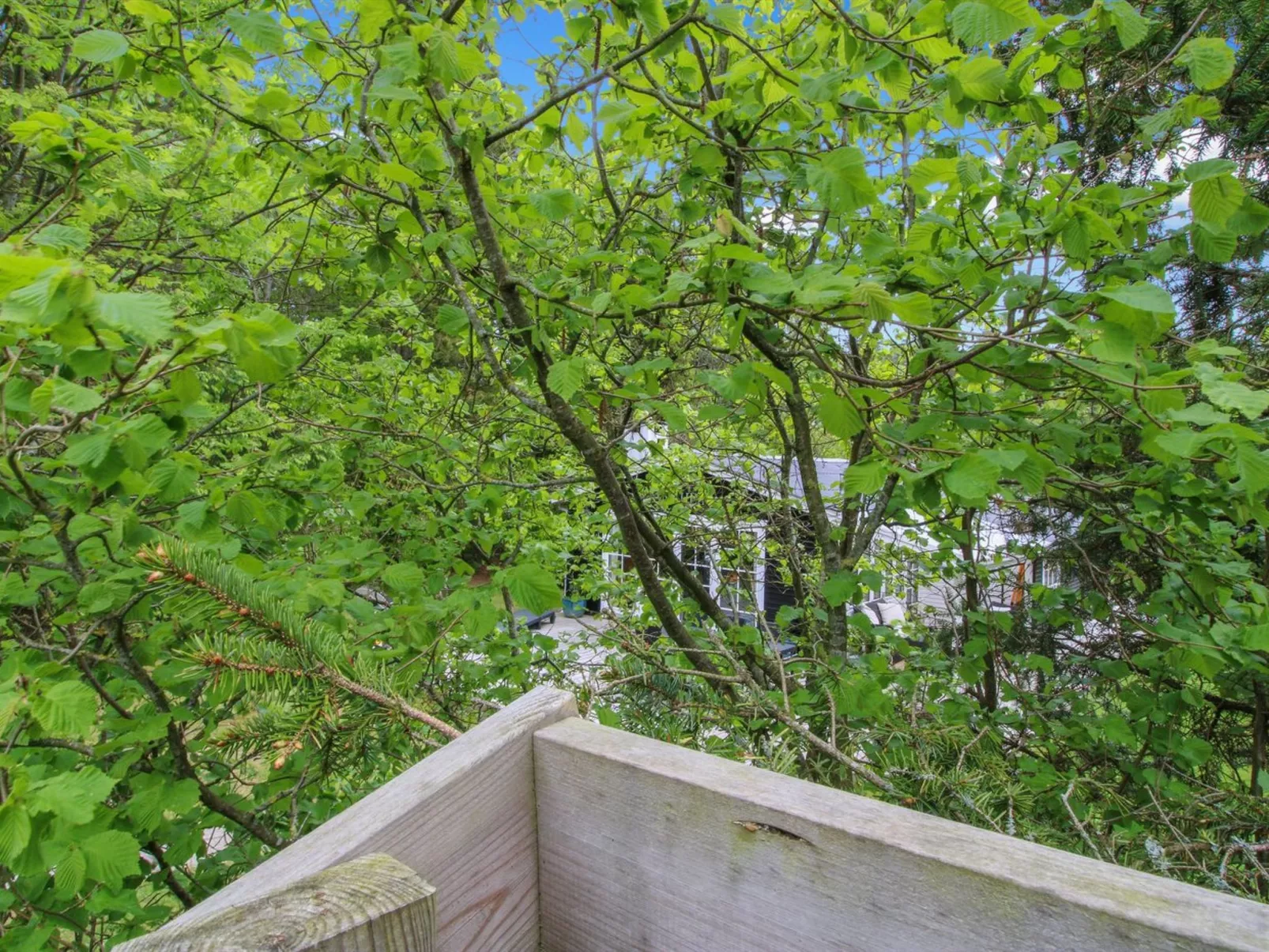 "Astrid" - 875m from the sea-Outside