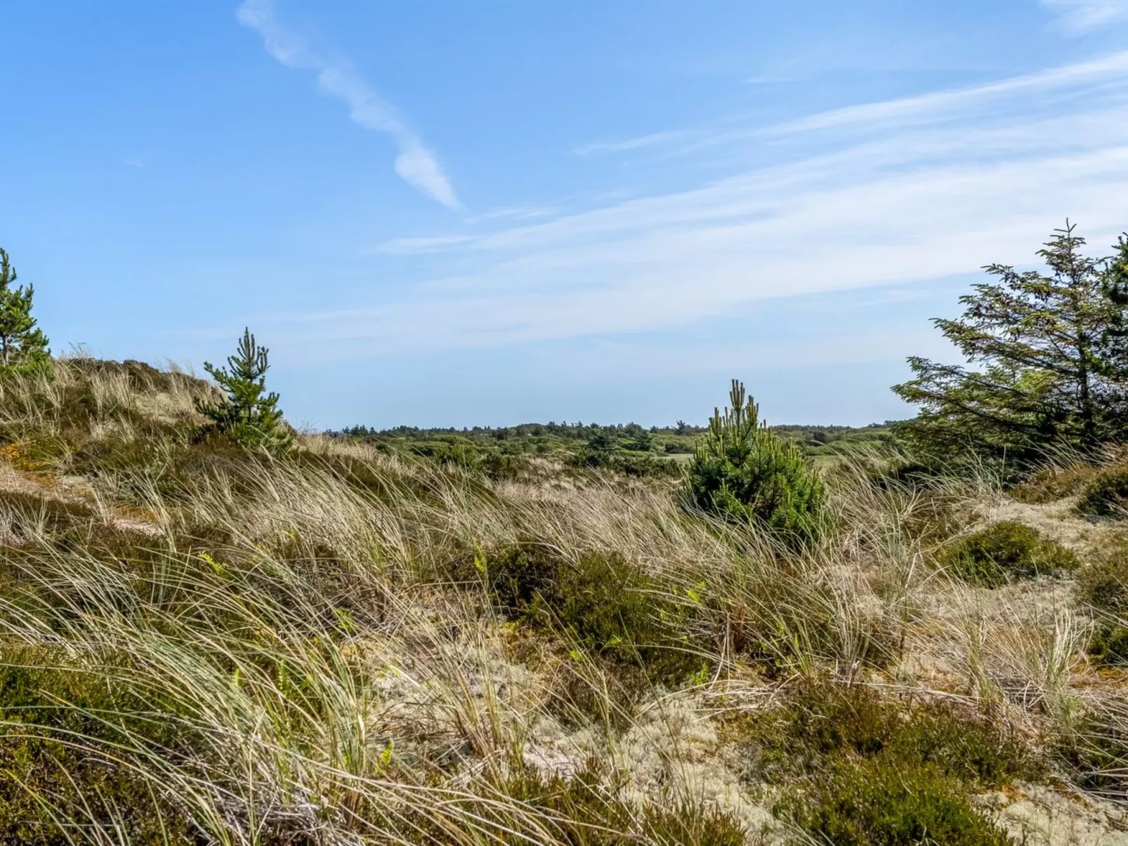 "Thorkil" - 800m from the sea-Outside