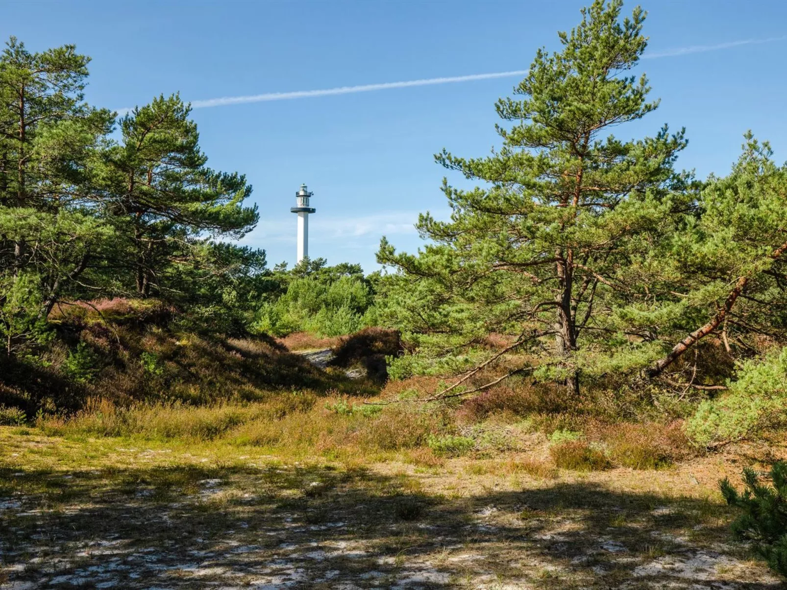 "Elza" - 800m from the sea-Outside