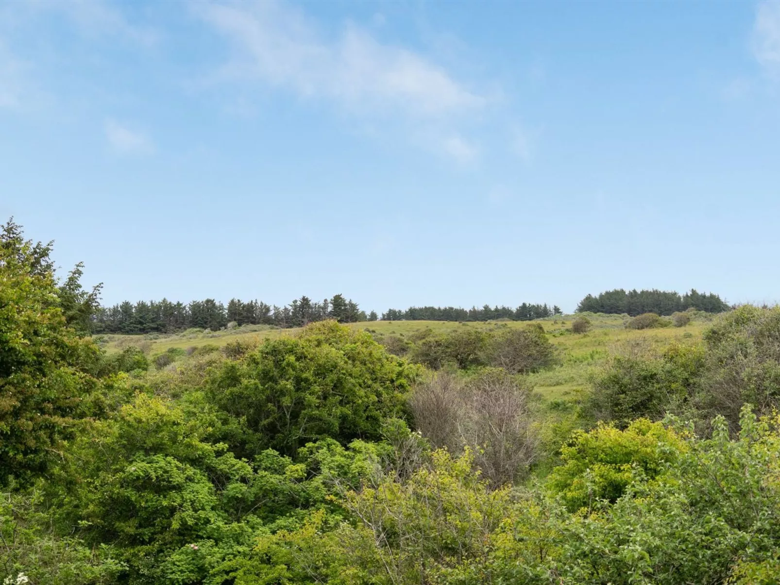 "Sorja" - 420m from the sea-Outside