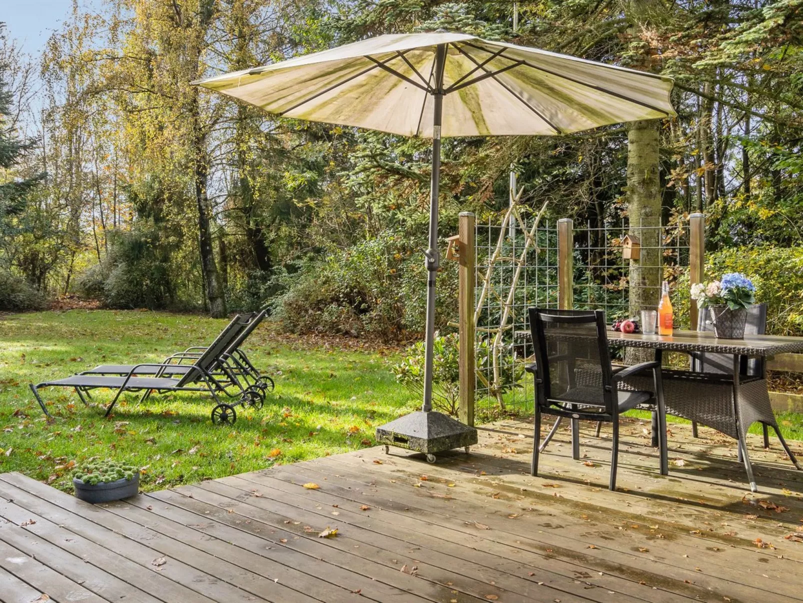 "Elisabeta" - 28km from the sea-Outside