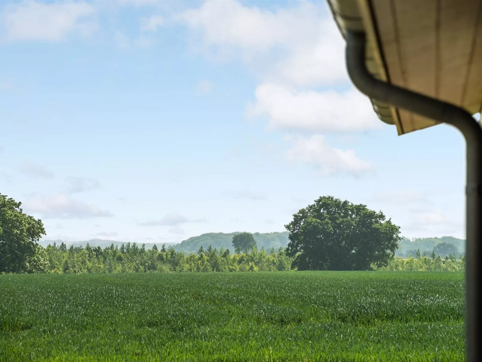 "Iorund" - 550m from the sea-Draußen