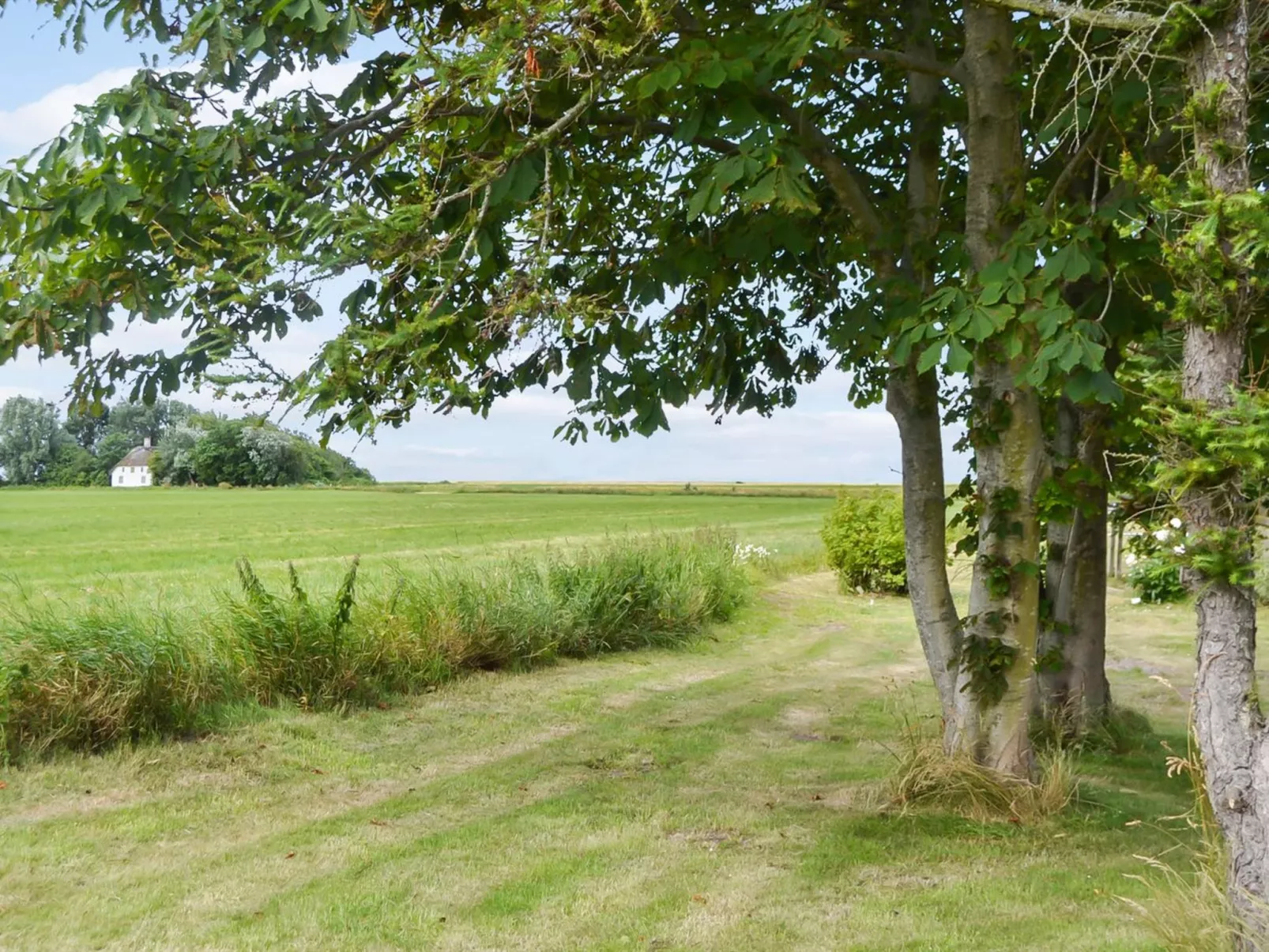 "Juuso" - 20km from the sea-Outside