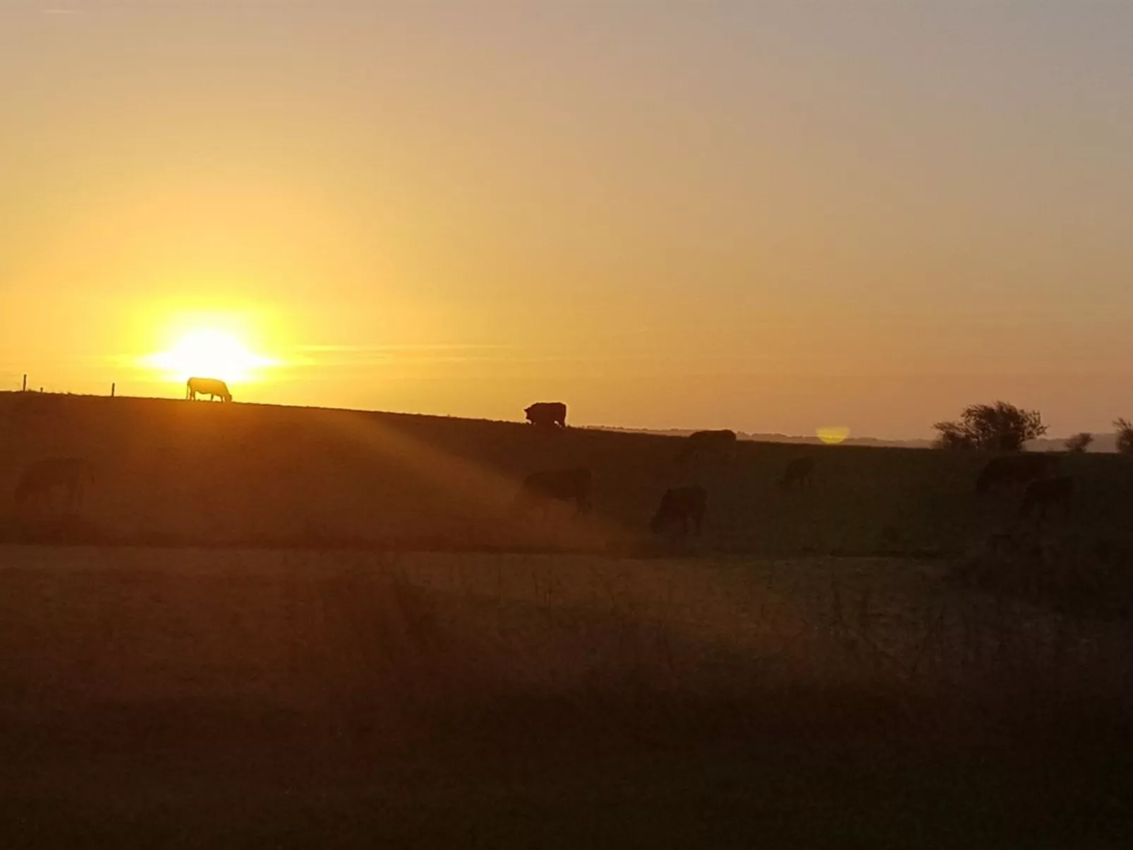 "Siebelt" - 200m from the sea-Outside