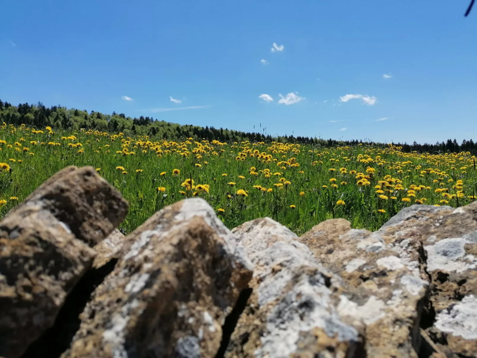 Maison de vacances - LM-Draußen