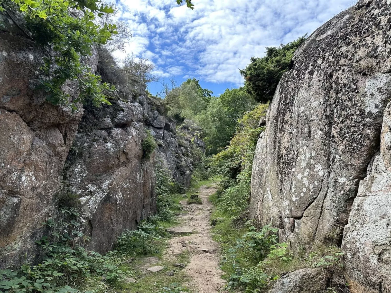 "Ramona" - 10m from the sea-Draußen